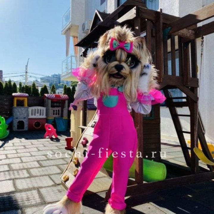 Аниматор Гламурная Собака в Владикавказе