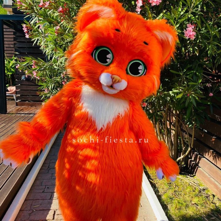 Аниматор Котик в Владикавказе