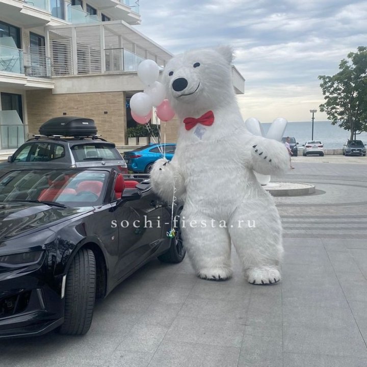 Аниматор Белый Медведь в Владикавказе