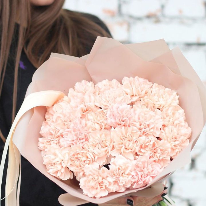 Диантусы №2 в Владикавказе