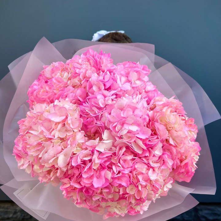 9 ярко розовых гортензий в Владикавказе