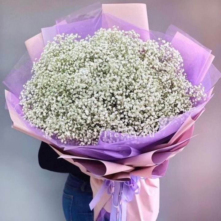 Облако белых гипсофил в Владикавказе