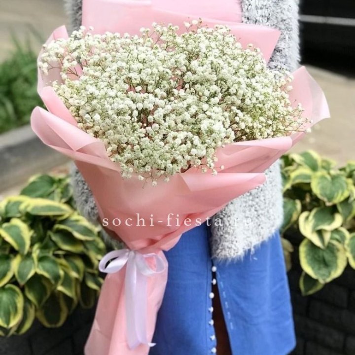 Белоснежные гипсофилы в Владикавказе