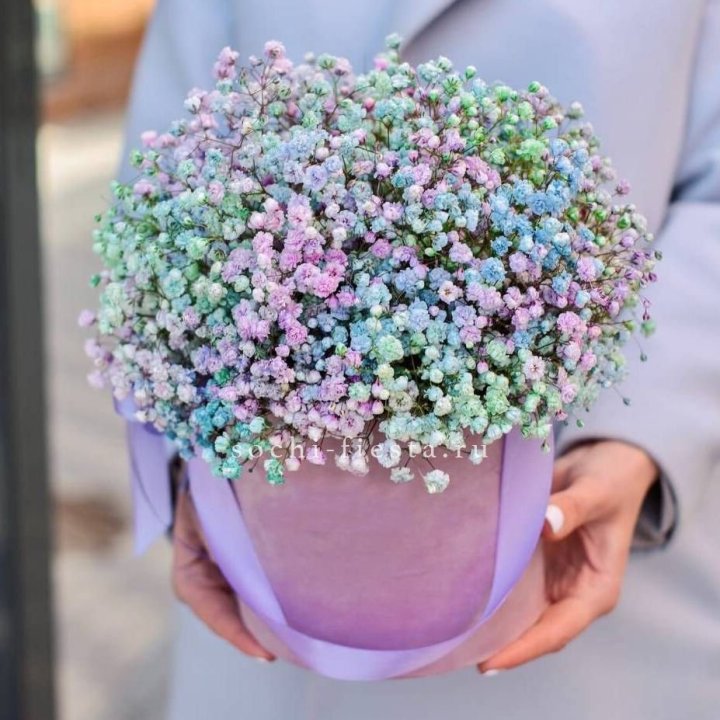 Гипсофилы в шляпной коробке "Кандилайт" в Владикавказе