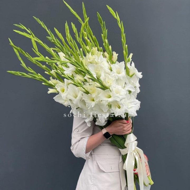 19 белых гладиолусов под ленту в Владикавказе