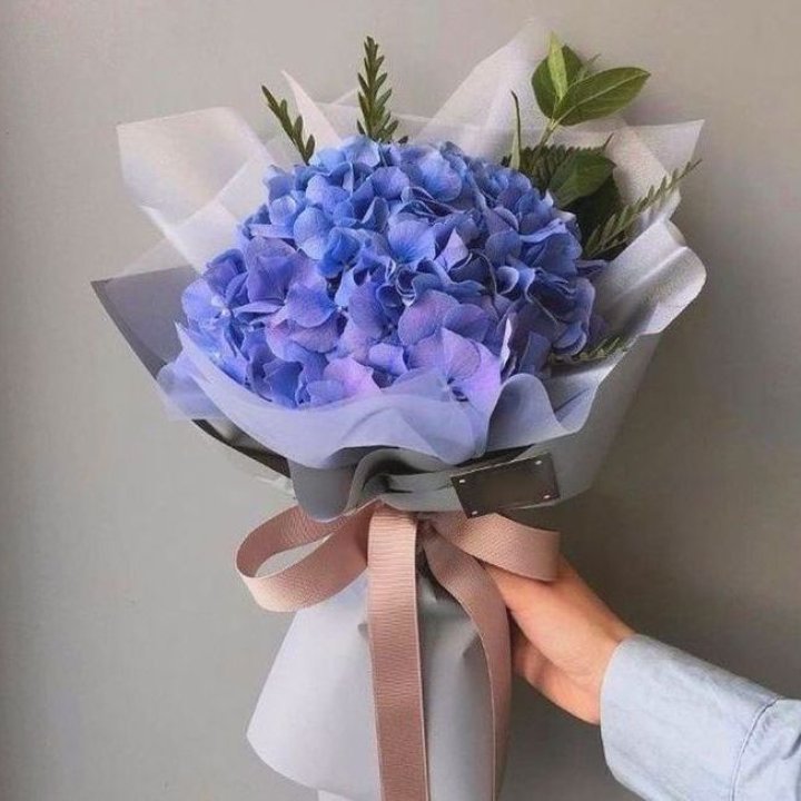 Гортензия голубая в Владикавказе