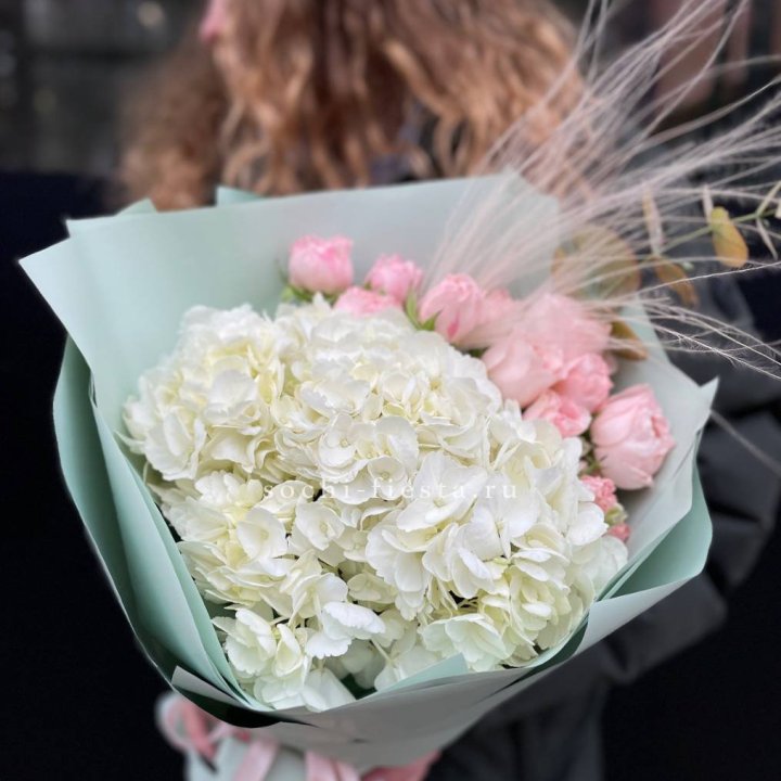 Гортензия "Жасмин" в Владикавказе