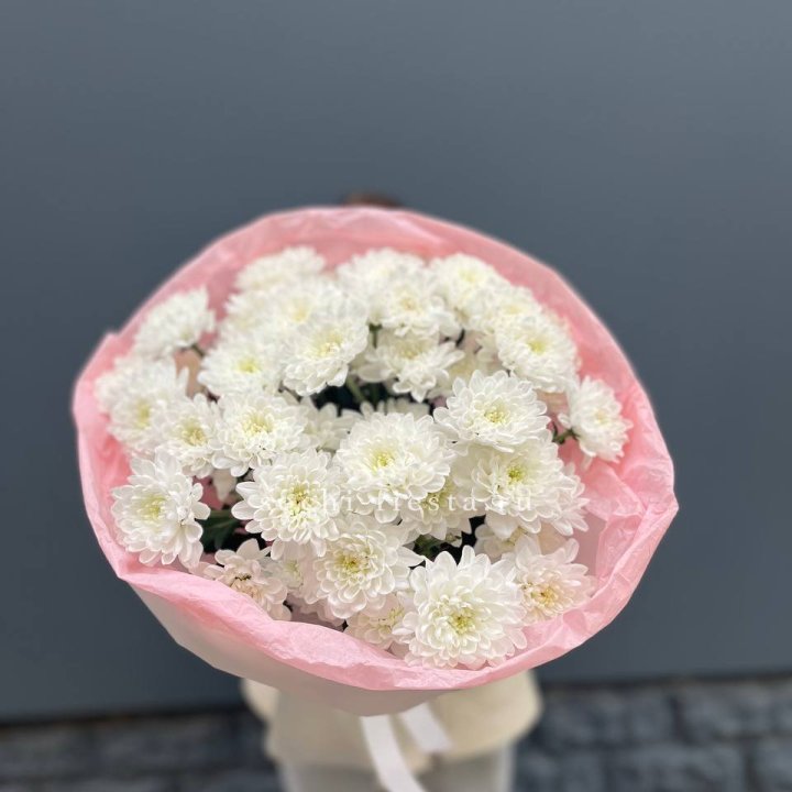  5 хризантем  в Владикавказе