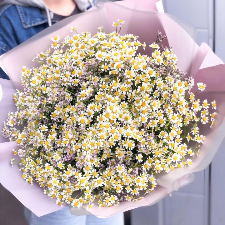 Букет ромашек №1 в Владикавказе