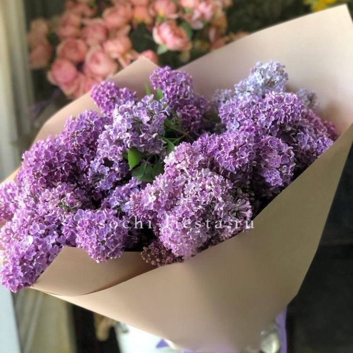 Букет сирени №2 в Владикавказе