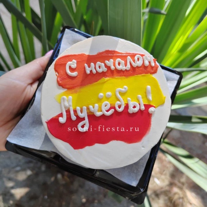 Бенто-торт "С началом учёбы"" в Владикавказе