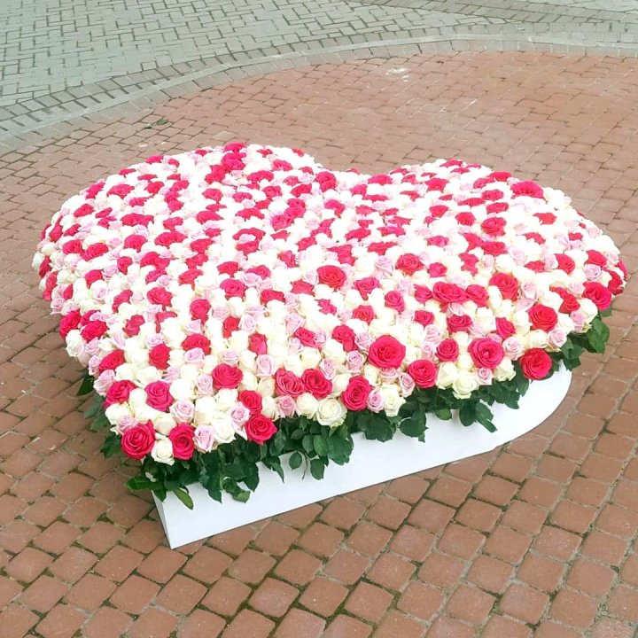 555 роза  в Владикавказе