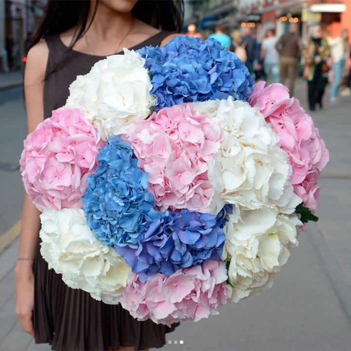 Букет гортензий "Инь-Янь" в Владикавказе