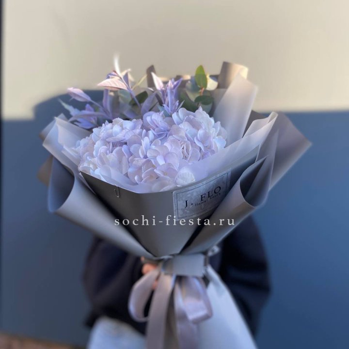 Гортензия "Виолета" в Владикавказе