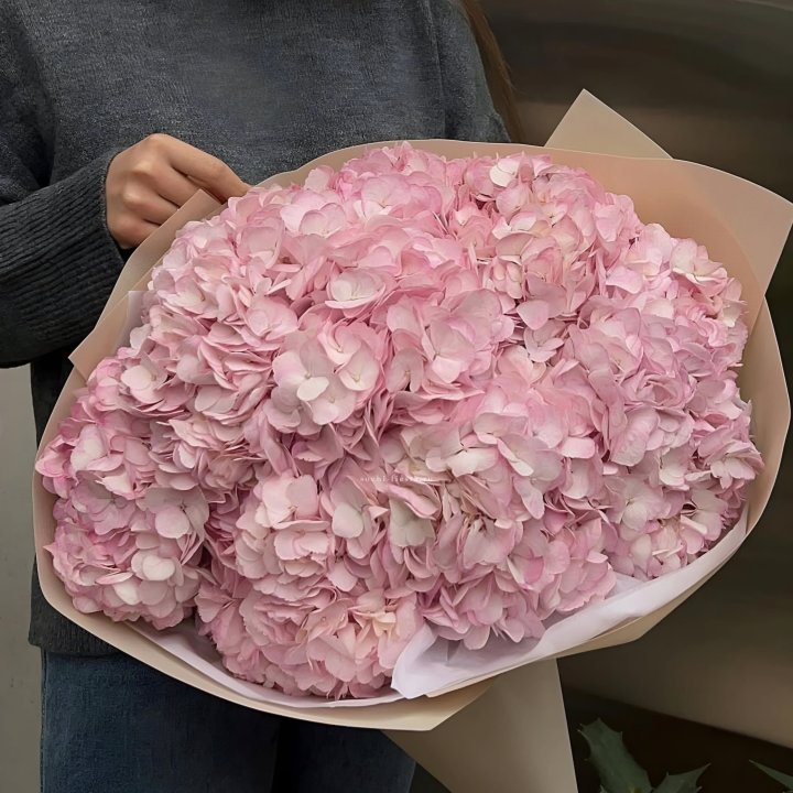 Гортензия  "РОЗЕ" в Владикавказе