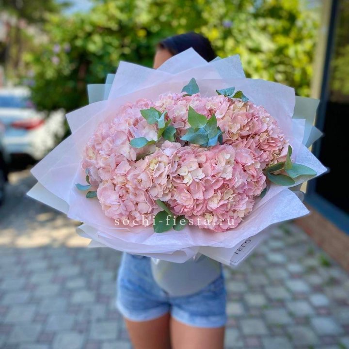 5 розовых гортензий  в Владикавказе