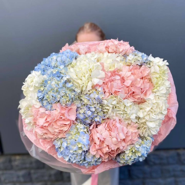 19 гортензий микс в Владикавказе