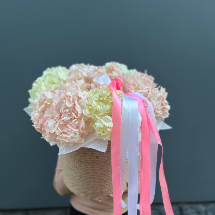 7 гортензий в кашпо в Владикавказе