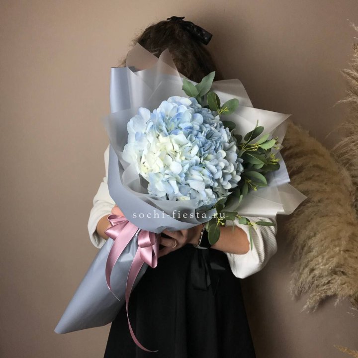 Гортензия Уно в Владикавказе