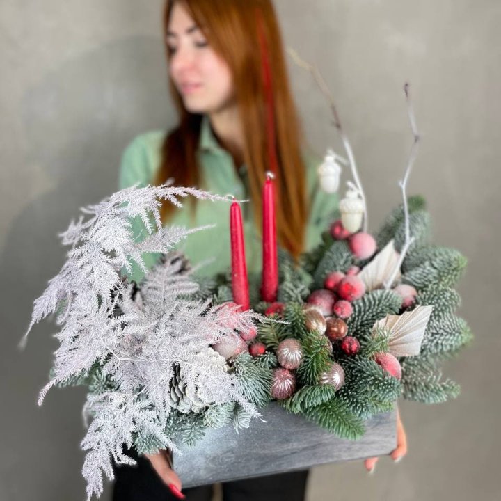 Бокс красный с нобилисом в Владикавказе