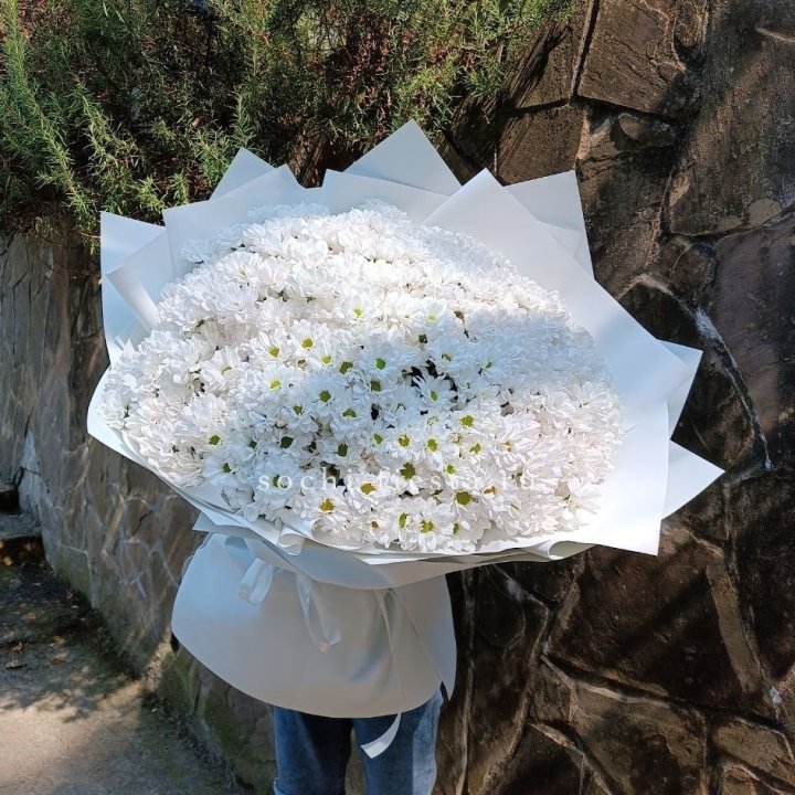 Облако хризантем №2 в Владикавказе