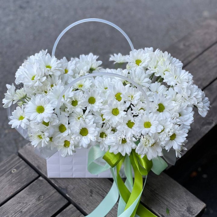 Сумка с хризантемами ромашками в Владикавказе