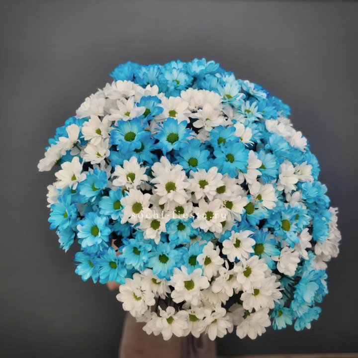  Букет хризантем микс в Владикавказе