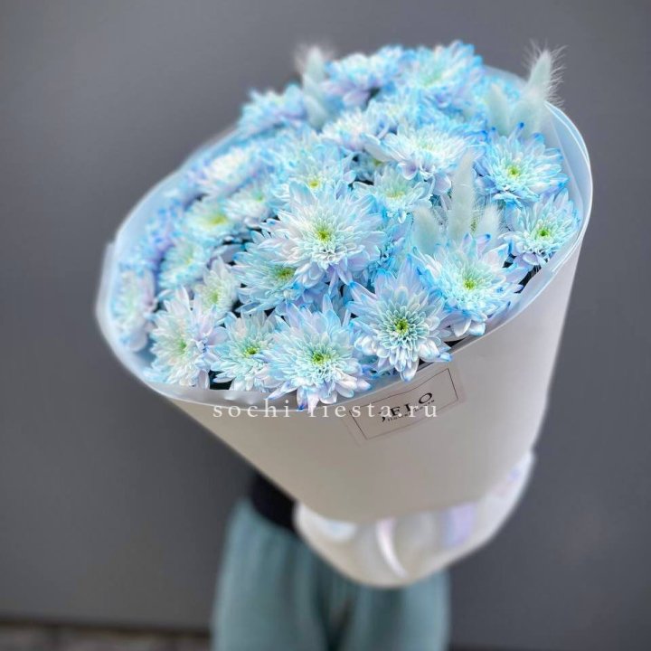  Букет нежно-голубых хризантем  в Владикавказе