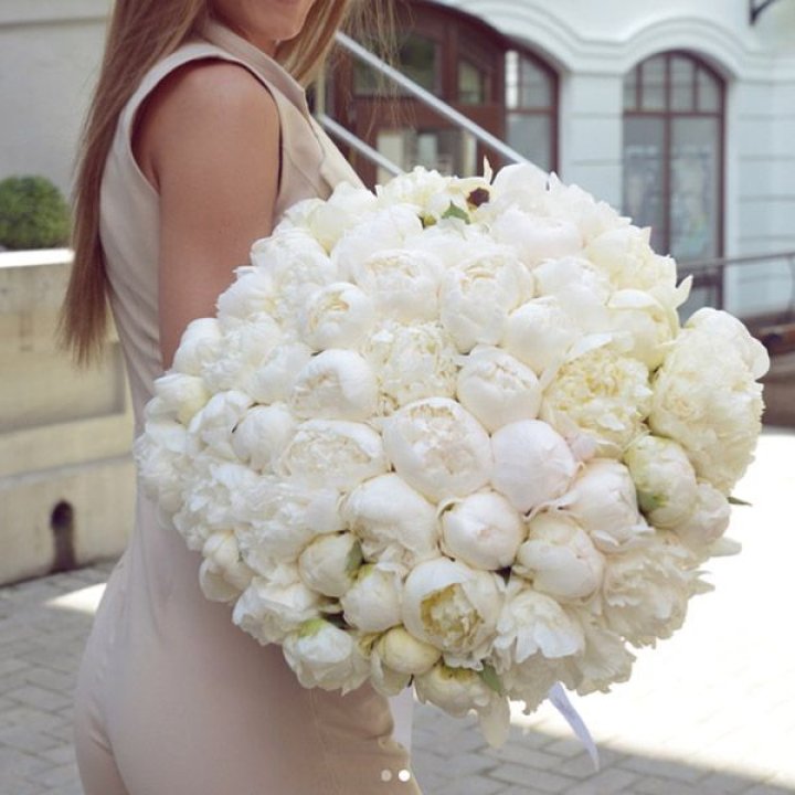 51 белый пион в Владикавказе