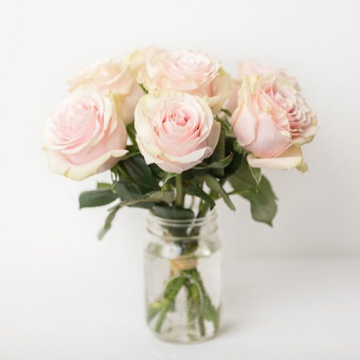 7 кремовых роз в Владикавказе