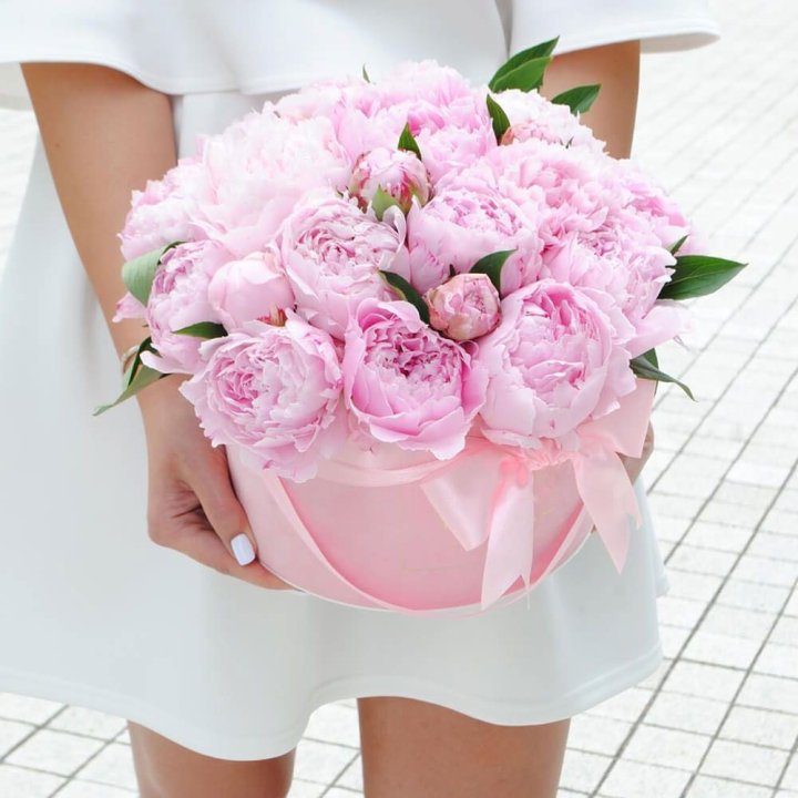 Пионы в шляпной коробке в Владикавказе