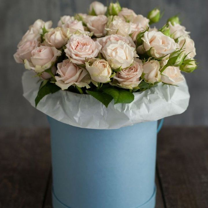 Бокс с бомбастиком в Владикавказе