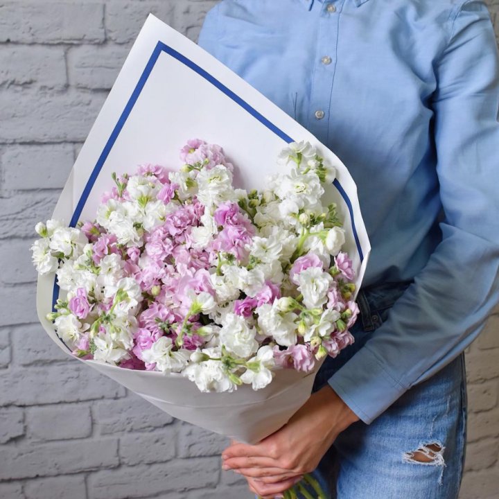 Маттиола в Владикавказе