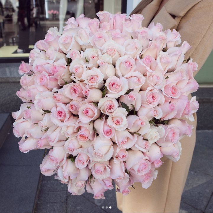 Розы "Пинк бум" в Владикавказе