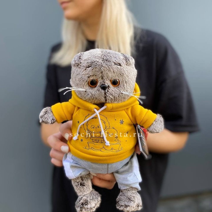 Кот Басик в худи в Владикавказе