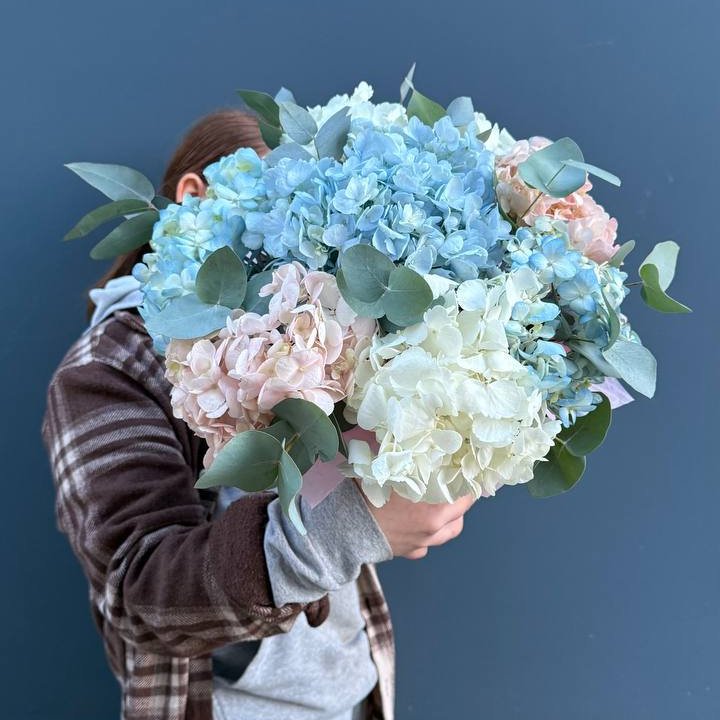 Гортензии в коробочке в Владикавказе