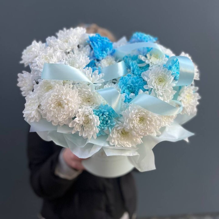 Хризнтемы в боксе в Владикавказе