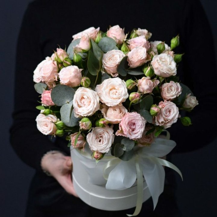 Бомбастик бокс №2 в Владикавказе