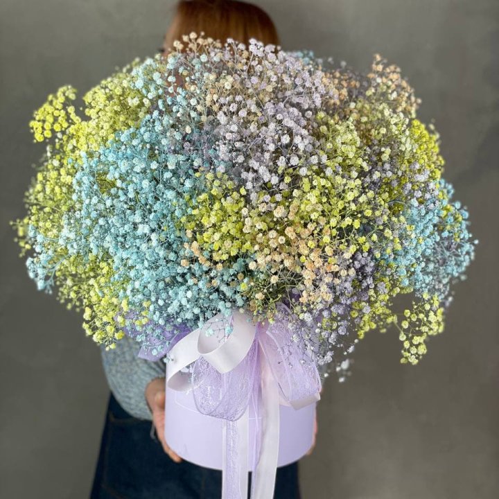 Бокс из гипсафил в Владикавказе