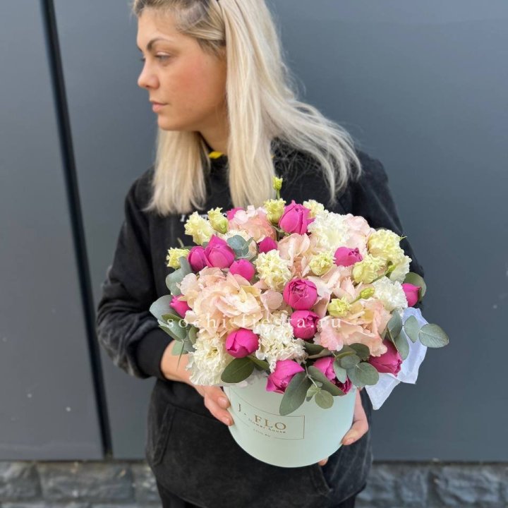 Сборный бокс премьер в Владикавказе