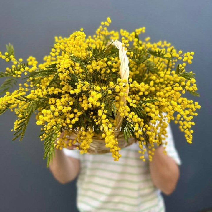 Весенняя корзина мимозы в Владикавказе