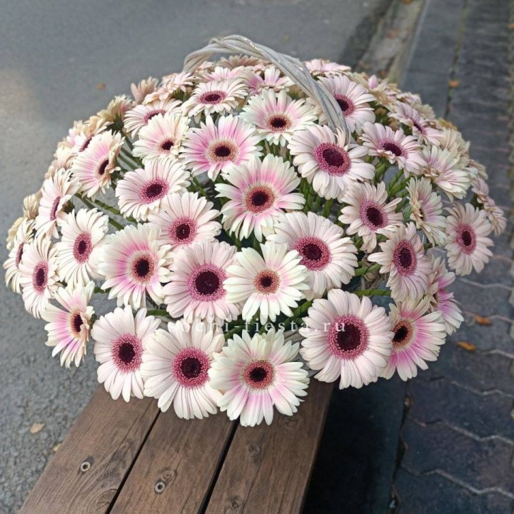 Корзина с герберами  в Владикавказе