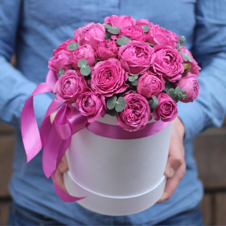 Бокс мисти баблс в Владикавказе