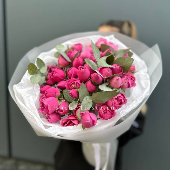 17 Мисти бабблс в Владикавказе