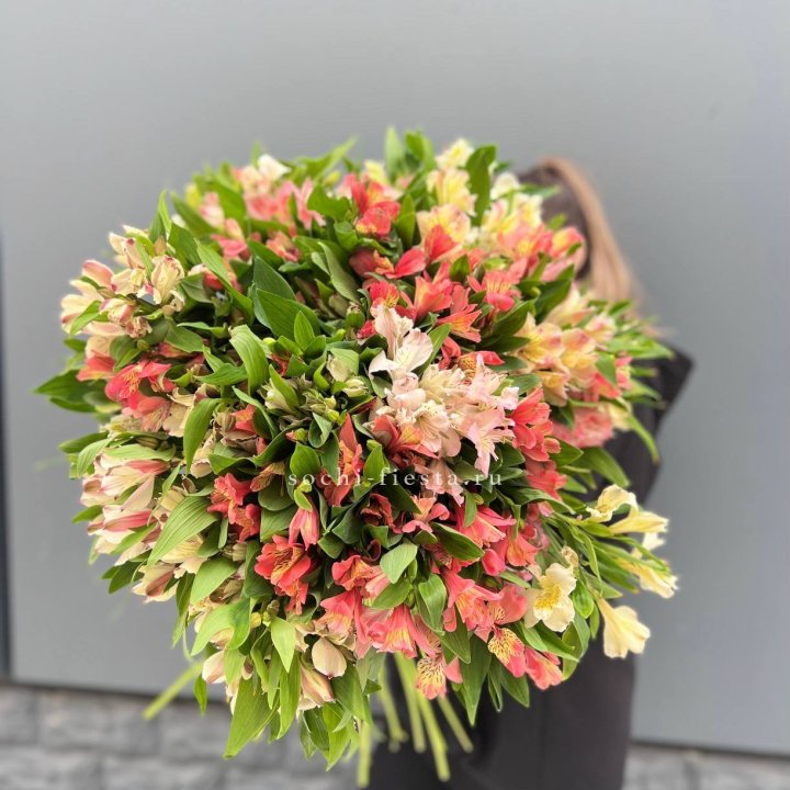 51 альстромерия в Владикавказе