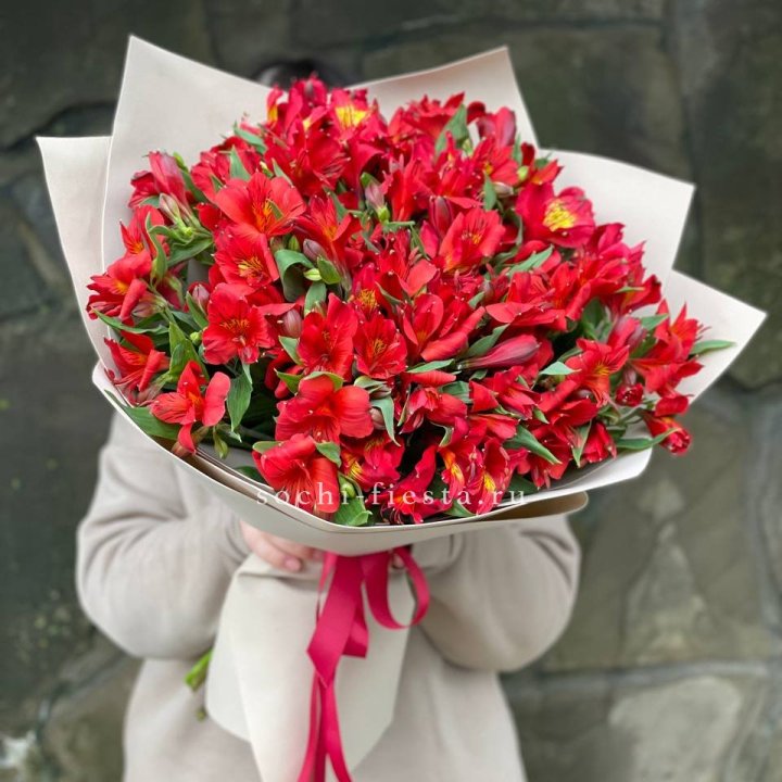 51 альстромерия в Владикавказе