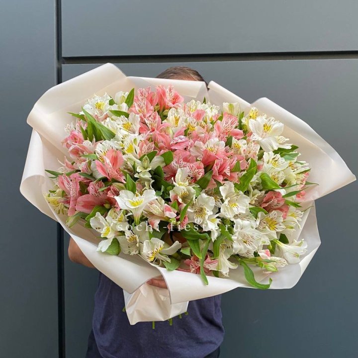 39 альстромерий в Владикавказе