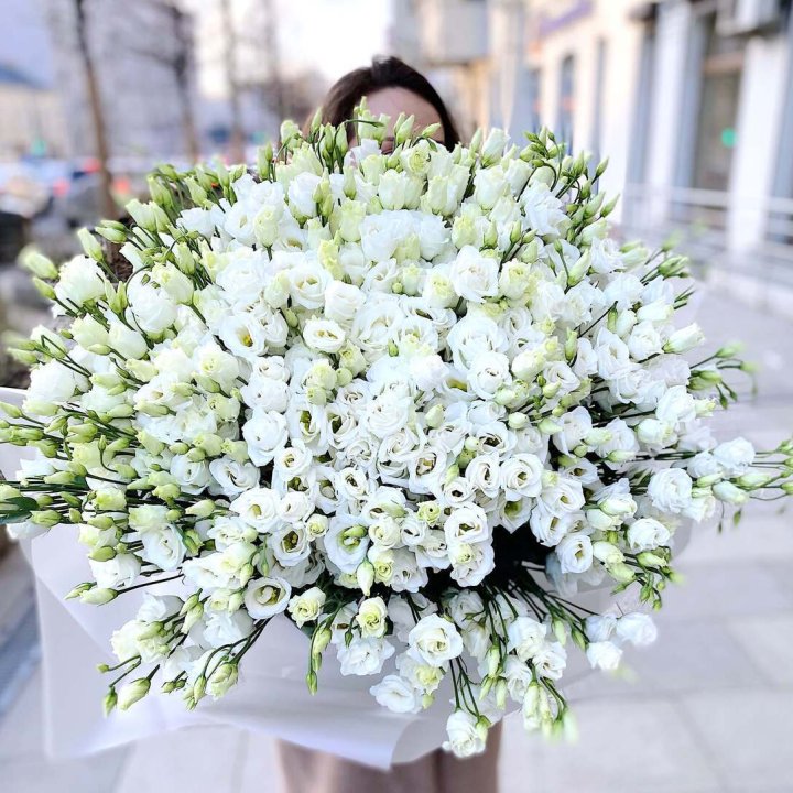 101 белая эустома в Владикавказе