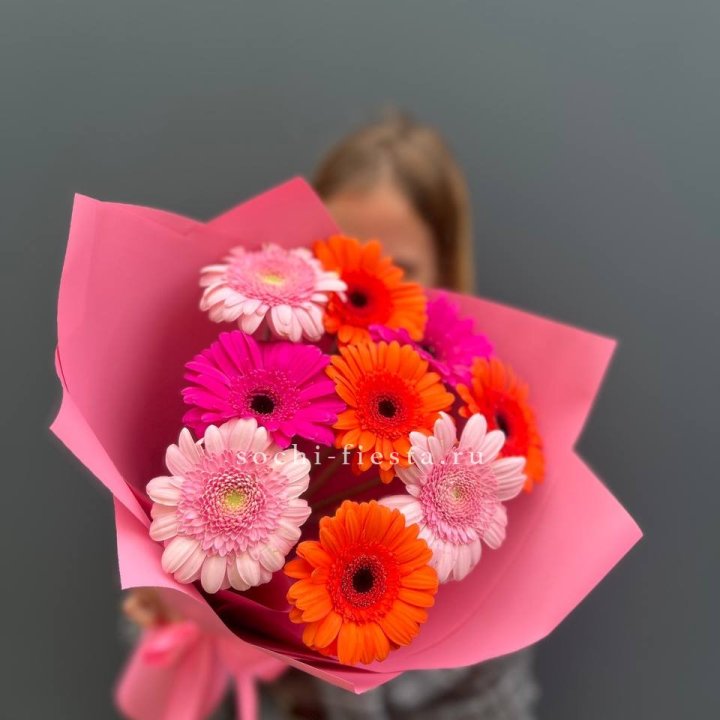 Краски в Владикавказе