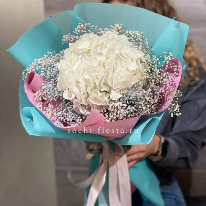 Гортензия "Райдов" в Владикавказе